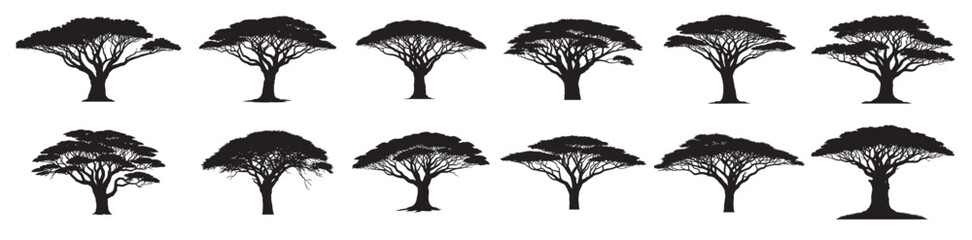 african tree silhouette white background.