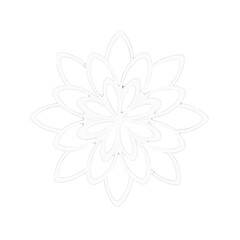 Obraz premium Delicate White Flower with Geometric Petals on Clean White Background Minimalist Design Floral Shape Simple Beauty Organic Aesthetic Modern Art Graphic Decoration