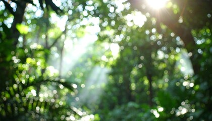 Sunlit Tropical Forest Bokeh