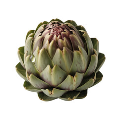 Fresh green artichoke isolated on transparent background