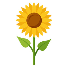 Minimalist color vector sunflower with stem design