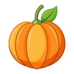 Minimalist color vector pumpkin with stem illustration