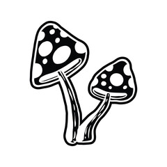 Funny Mushroom Hand Drawn Cartoon Doodle Art