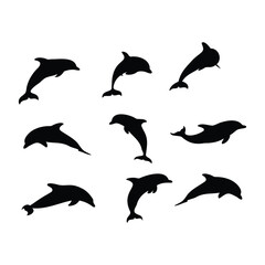 Dolphin Silhouette Icons – Marine Animal Vector Set