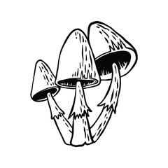 Cartoon Style Hand Drawn Lineart Mushroom Artwork
