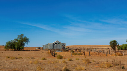 A classic corrugated iron shearing shed with adjoining timber and wire yards stands in the rural Victorian landscape, embodying Australia’s pastoral heritage. 