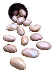 Jackfruit seeds with steel glass isolated on a transparent background