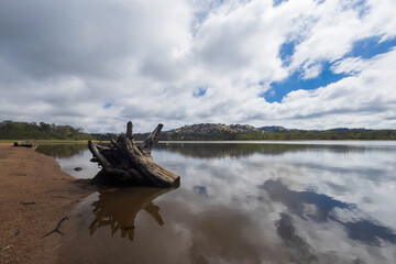 At Barkers Creek Reservoir in Harcourt, Victoria, a weathered stump rises from the still water, framed by drifting clouds above. The calm surface of the reservoir mirrors both the clouds and the stump