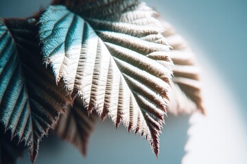 Close-up of delicate, textured leaves with light and shadow