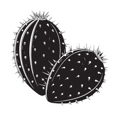 Black prickly Silhouette Vector, High Quality Illustration on White Background