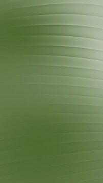 Seamless Abstract Olive Green Wavy Texture Background Loop, Ideal for Calm Moods