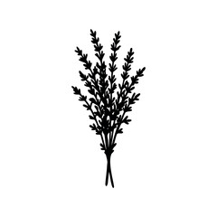 Stylized Silhouette Illustration of Thyme Plant with Dense Foliage and Delicate Leaves