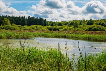 View of the beautiful moor landscape in the High Fens nature reserve
