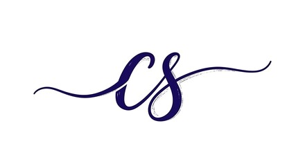 Elegant Initial CS Logo Design.