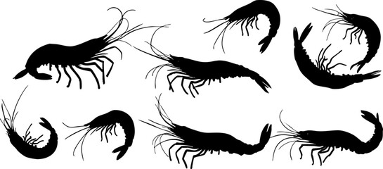Stylized Shrimp Silhouette Collection
