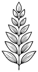 Symmetrical botanical illustration of a single leaf sprig line art