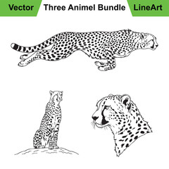 Collection of Cheetah Illustrations in Three Bold Line Art Poses
