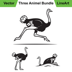 Assortment of Ostrich Illustrations in a Bold Line Art Style