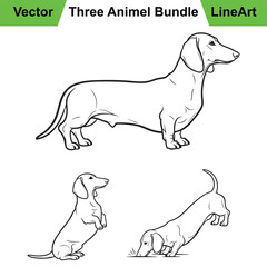 Three Dynamic Dachshund Poses in a Graceful Vector Line Art Style