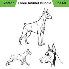 Collection of Doberman Illustrations in Three Bold Line Art Poses