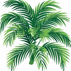 palm, tree, tropical, sky, coconut, palm tree, beach, nature, green, summer, leaf, leaves, island, vacation, plant, exotic, paradise, holiday, travel, sea, relax, palm trees, ocean, sun, branch