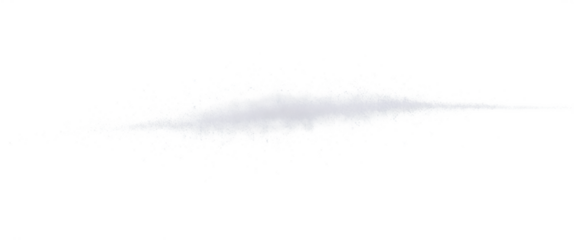 feather on white background