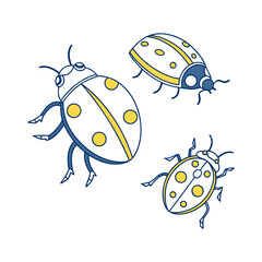 Obraz premium Adorable trio of ladybugs embodying summer s playful charm and gentle nature depicted with clean