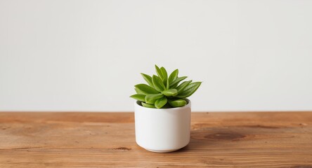 Green Leaves in White Pot, Calm Still Life with Wooden Surface and Bright Backdrop.