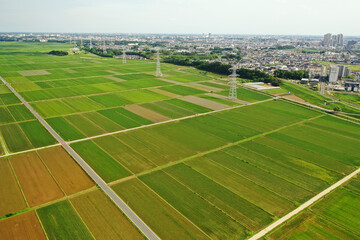千葉県柏市の田園風景