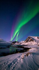 Naklejka premium Northern Lights Over Snowy Coast