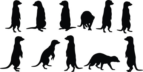 Meerkat Silhouettes in Various Poses, Standing, Walking, and Sitting, Black Vector Art for Animal and Nature Design Projects