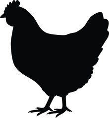 Silhouette of a chicken on vector
