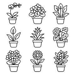 Vector bloom jasmine plant icon lily african icons flowers potted flowering peace