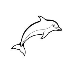 dolphin mid jump isolated