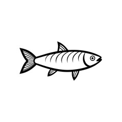 herring fish isolated silver scales