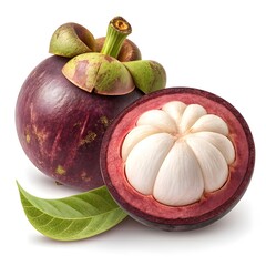 Garcinia Mangostana var. Grandifolia Wild Mangosteen with Large Leafy Elegance and Deep Purple Exotic Appeal Strikingly Isolated on Bright White Background for Fresh Tropical Still Life