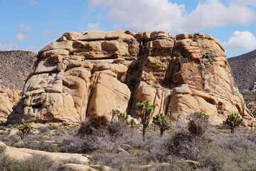 Fototapeta premium sandstone rock formation