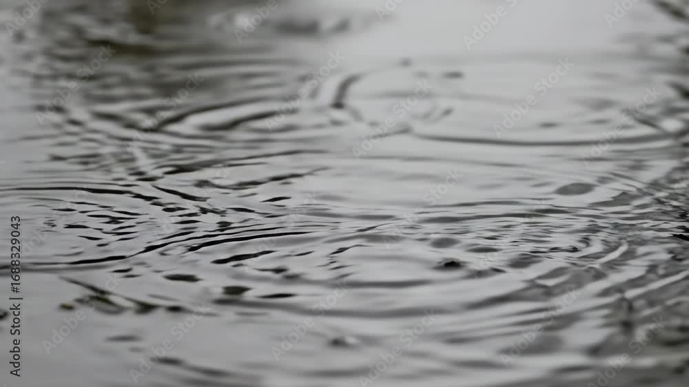 Poster raindrop splashing into a puddle of water in slow motion, creating ripples – serene background.