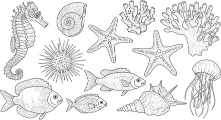 Adorable cartoon whale vector illustration, cute marine animal drawing, playful sea creature design, aquatic wildlife character, ocean nature icons, underwater kids graphics collection