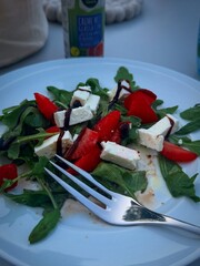 Delicious Dinner with Tofu, Tomato, and Spinach