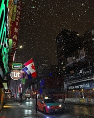 Snow Falling  At Night in Winter