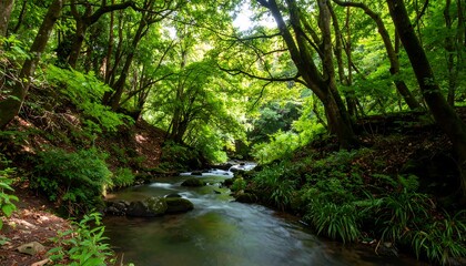 Fototapeta premium Lush forest stream (3)