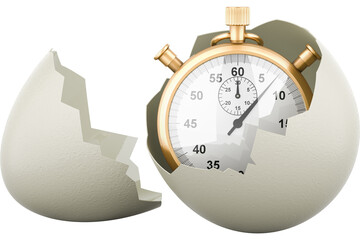 Stopwatch inside broken chicken egg, transparent background
