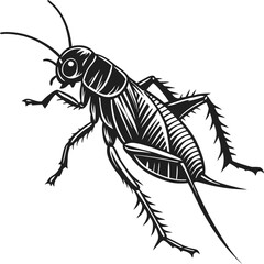 vector illustration of a black and white spider