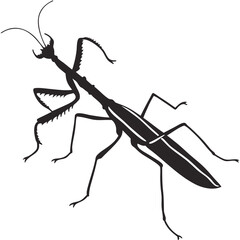 mosquito cartoon illustration