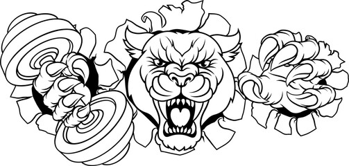 Panther Leopard Cougar Weight Lifting Gym Mascot