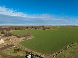 Aerial view of green farmland. Freshly sprouted field with visible tractor tire patterns, bordered...