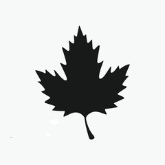 Maple autumn leaf silhouette. vector illustration