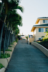 Boat parked at end of driveway lined with palm trees