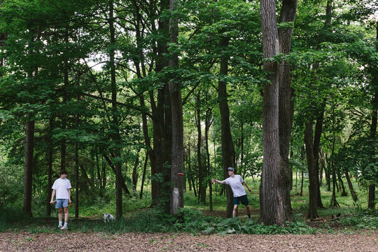 Brothers in forest with dog playing disc golf with trees